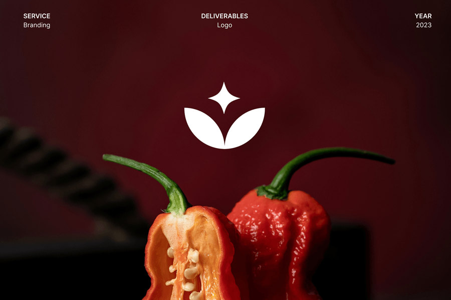Namma Sangam — Logo, identity and packaging for a South Indian food brand